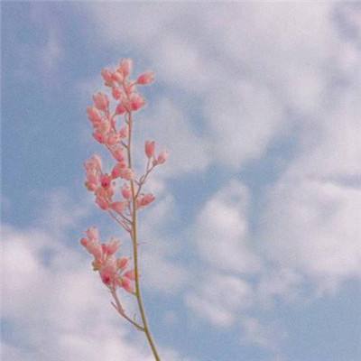 上海麻将手机app下载截图