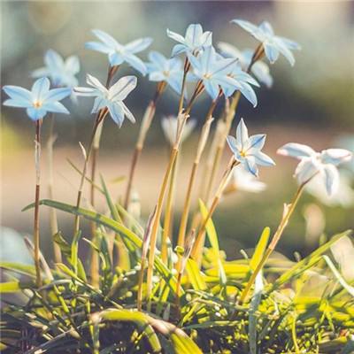 ng体育下载注册