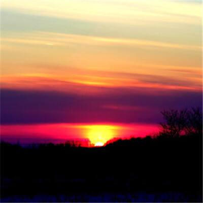 博鱼综合app官网登录